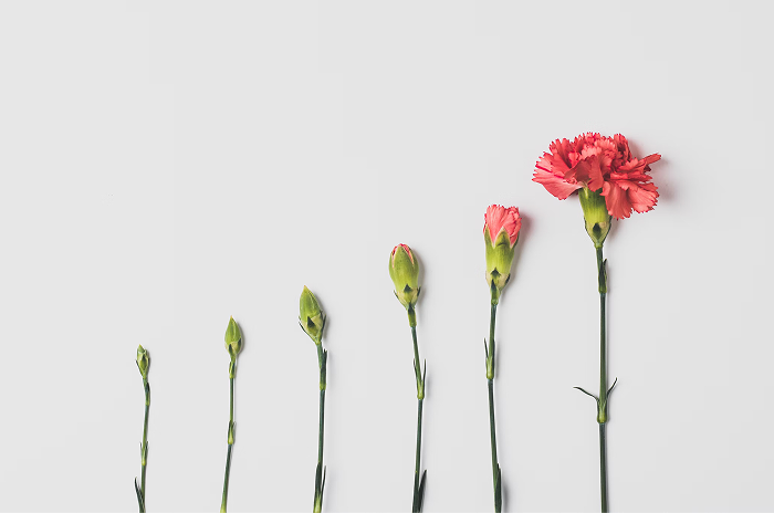 Bottom Flower