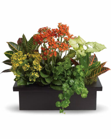 luxury flower arrangements El Paso