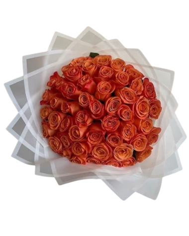 roses delivery El Paso