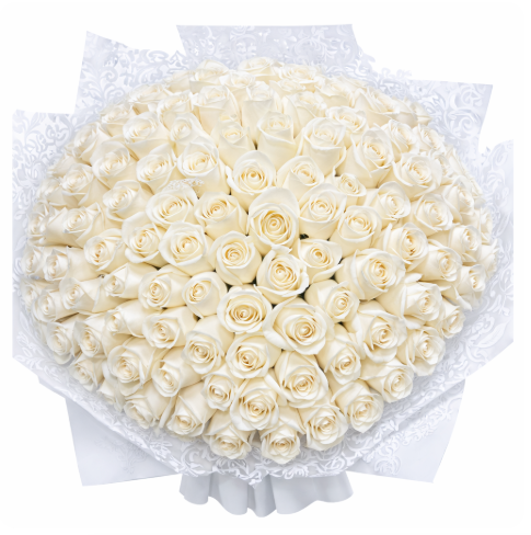 White Ramo Buchon 100 Count