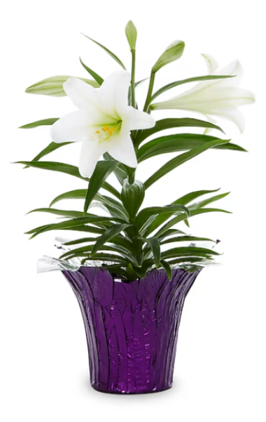 florist El Paso